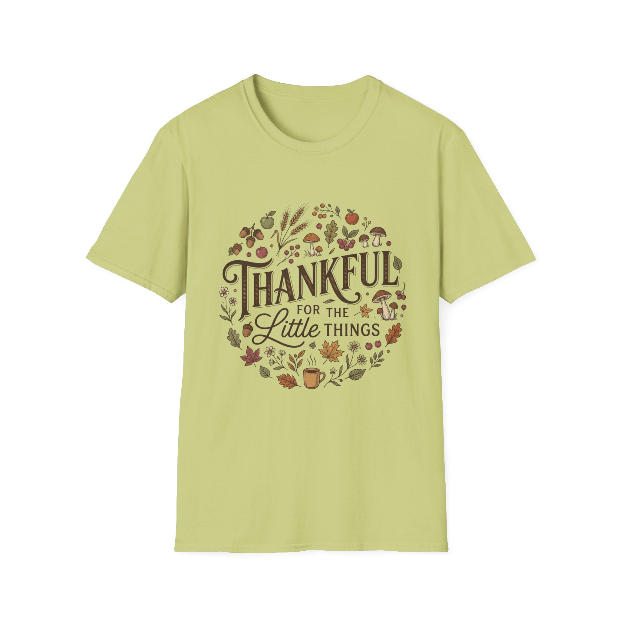 Thankful For The Little Things T-Shirt
